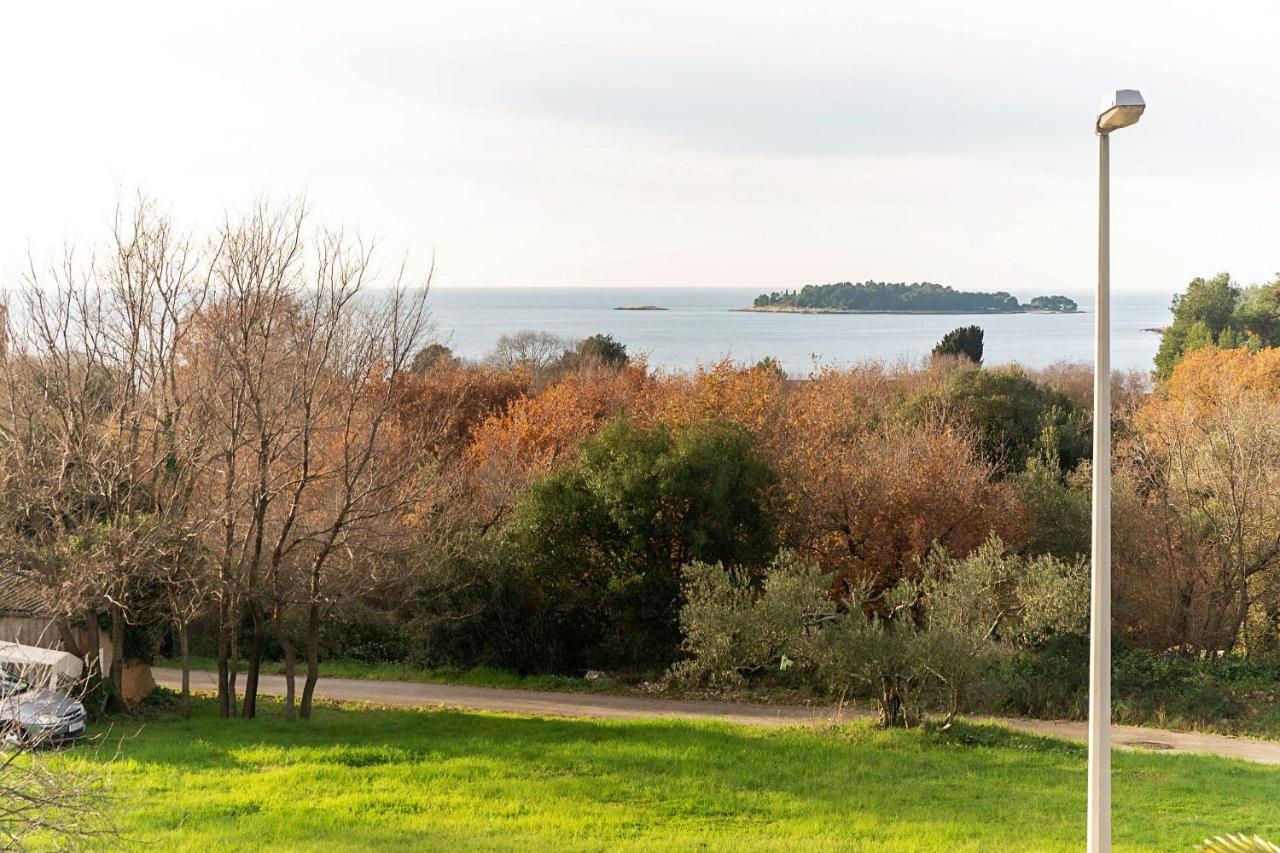Apartments Pilicari (Adults Only) Rovinj Eksteriør billede